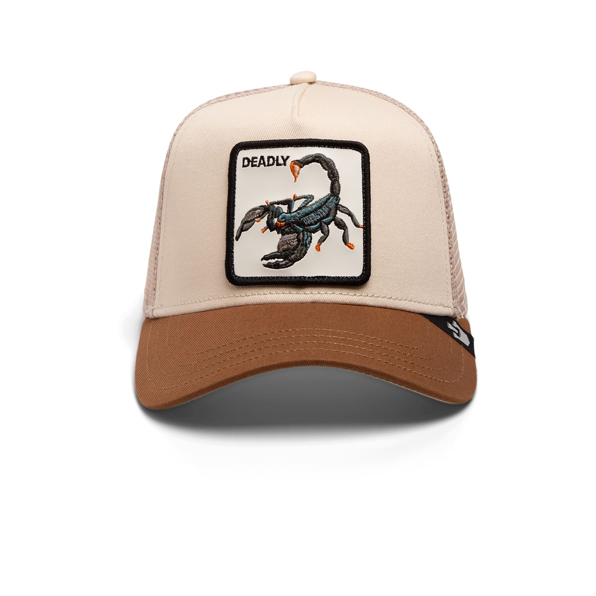 The Deadliest Scorpion Taupe
