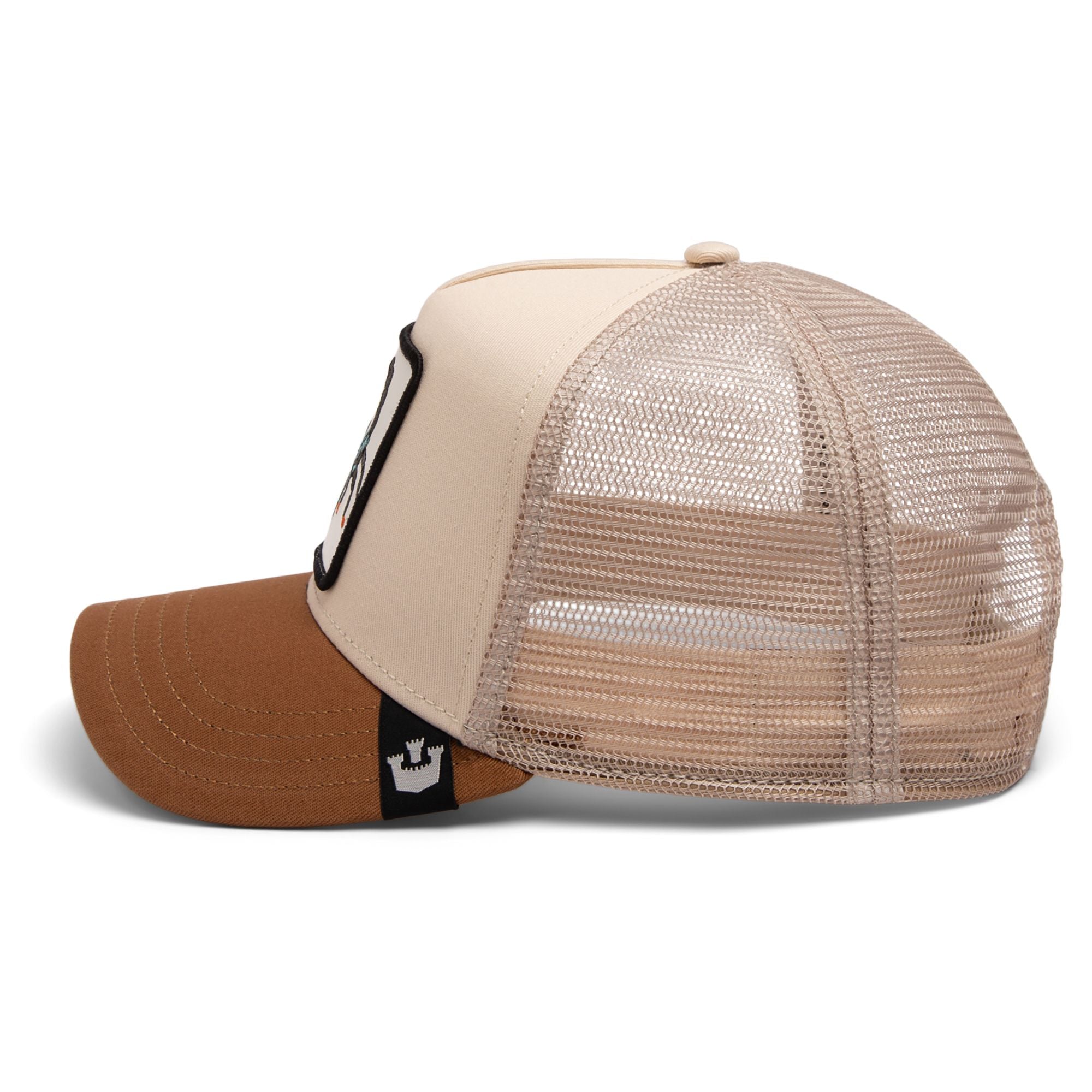 The Deadliest Scorpion Taupe