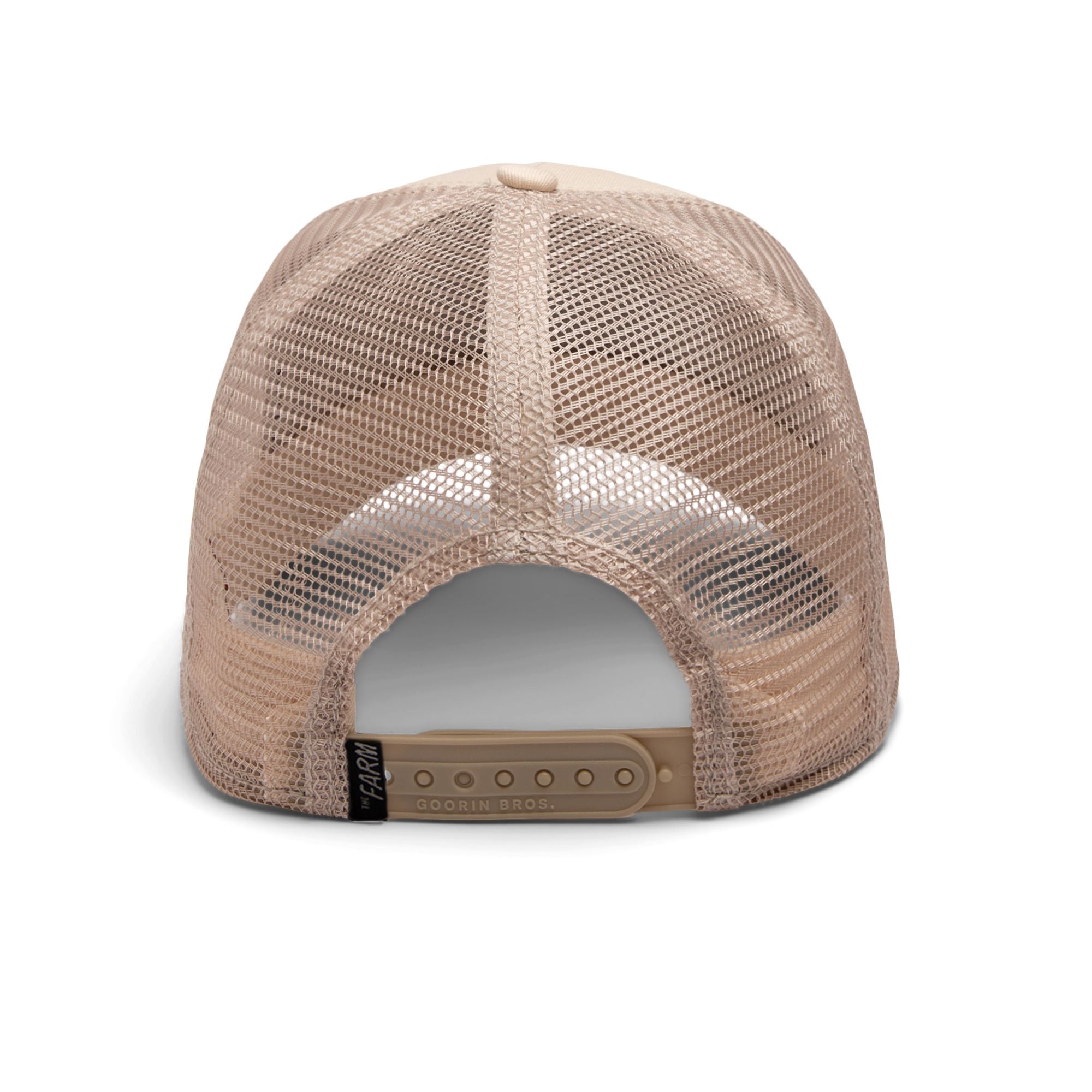 The Deadliest Scorpion Taupe