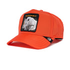 Washington Pine Train Orange