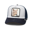 The Bandit Coyote - Light Grey