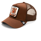 The Wildcat Tiger Brown