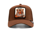The Wildcat Tiger Brown
