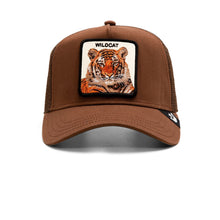 The Wildcat Tiger Brown