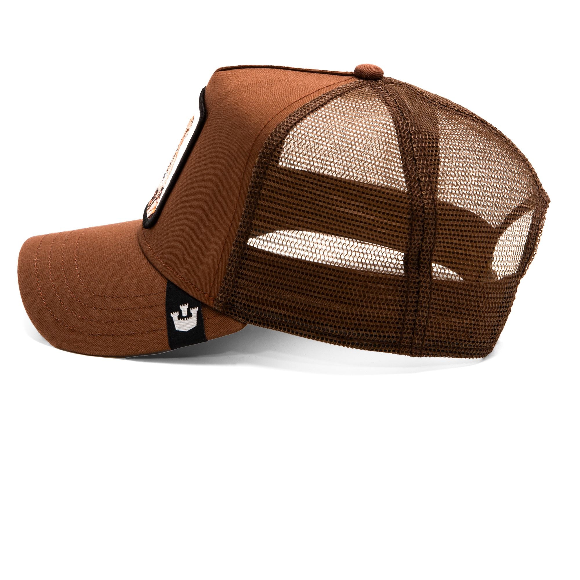 The Wildcat Tiger Brown