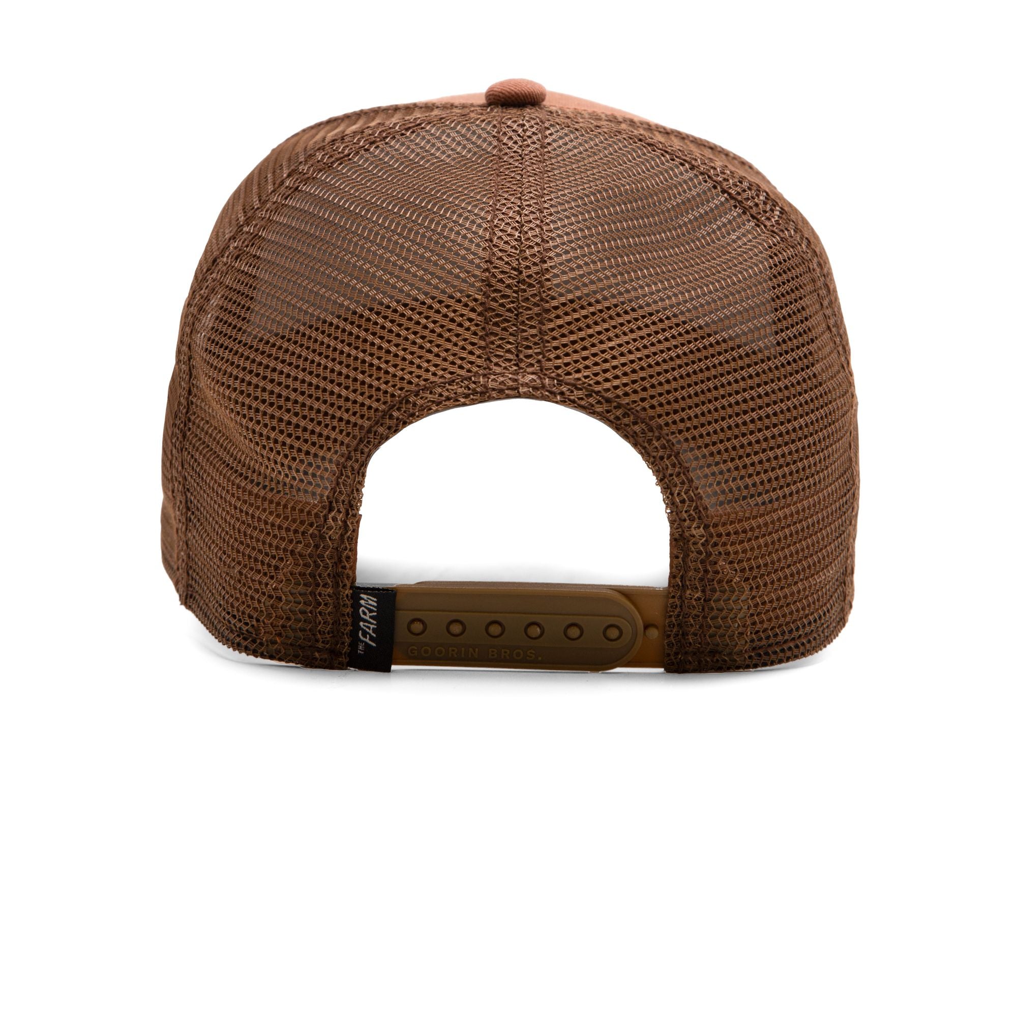 The Wildcat Tiger Brown
