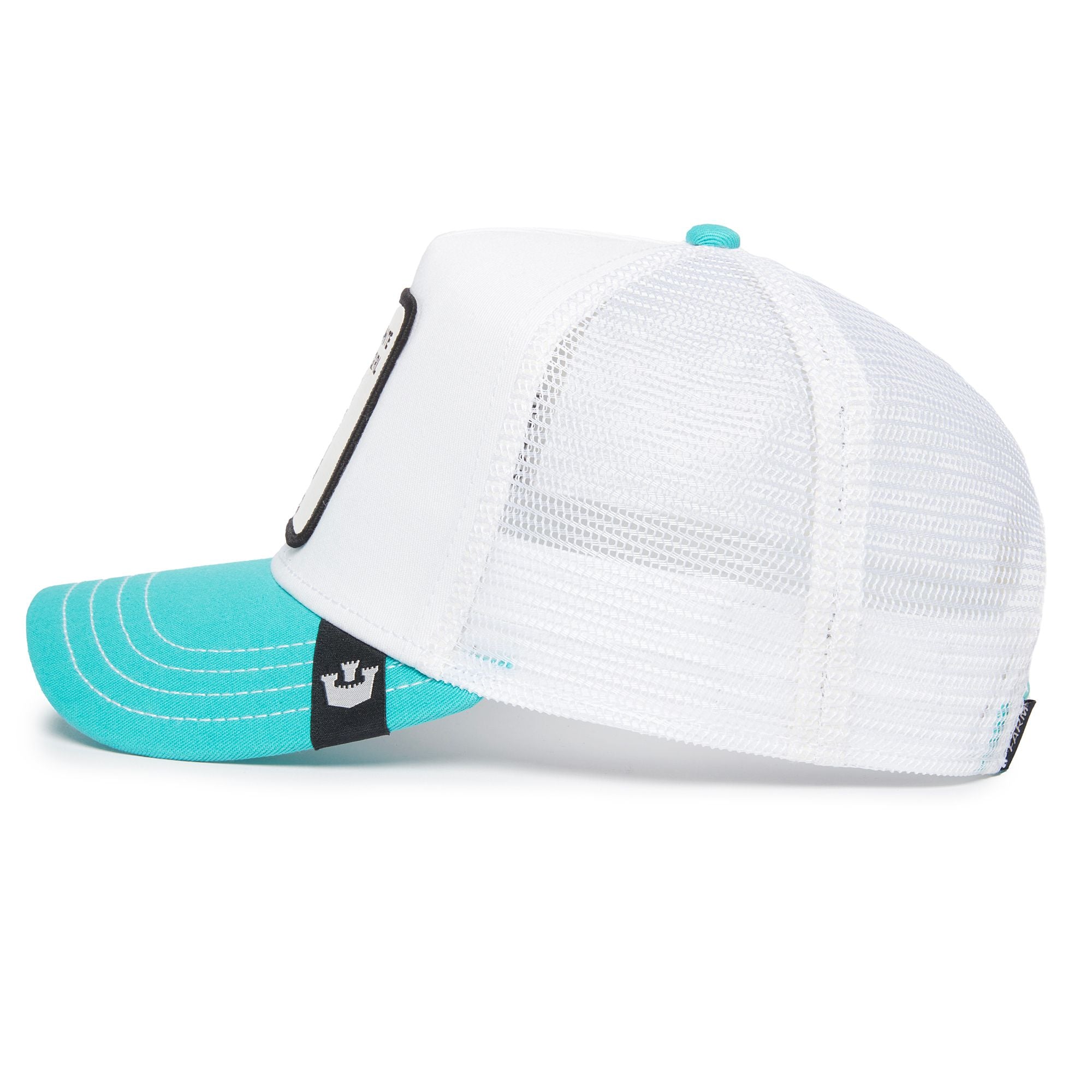 The White Owl Teal