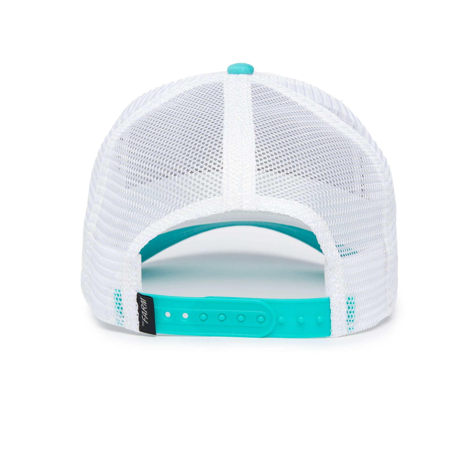 The White Owl Teal