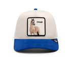 The Suede Horse Blue