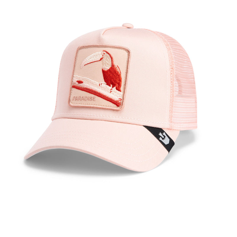 Toucan Mirage - Coral