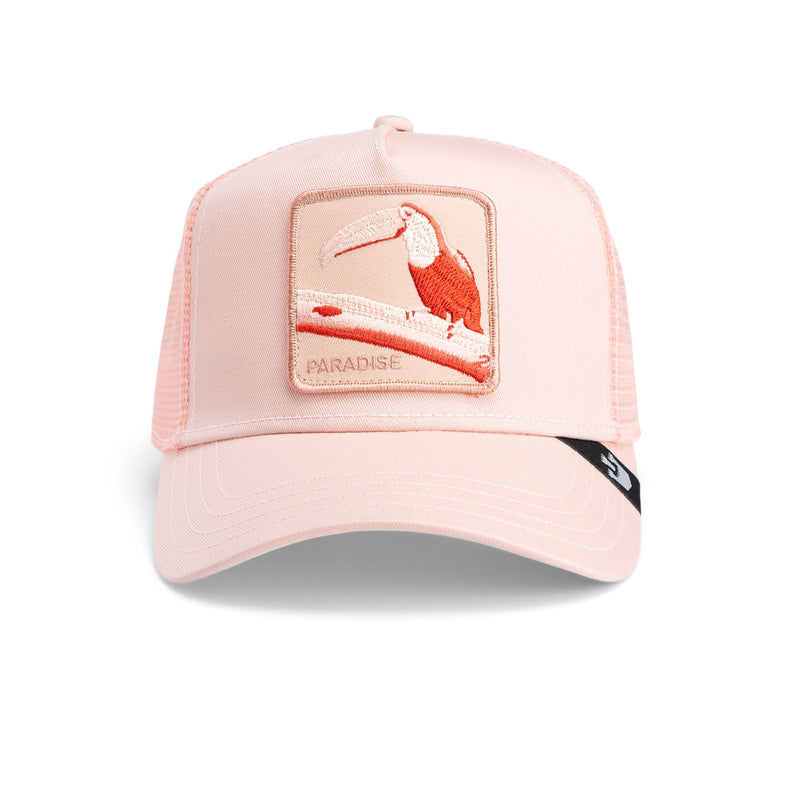 Toucan Mirage - Coral