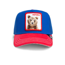 The Historic Bear - Blue