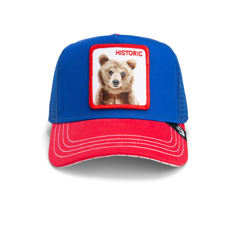 The Historic Bear - Blue