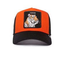 Tiger Fan Orange