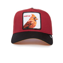 Cardinal Fan Burgundy