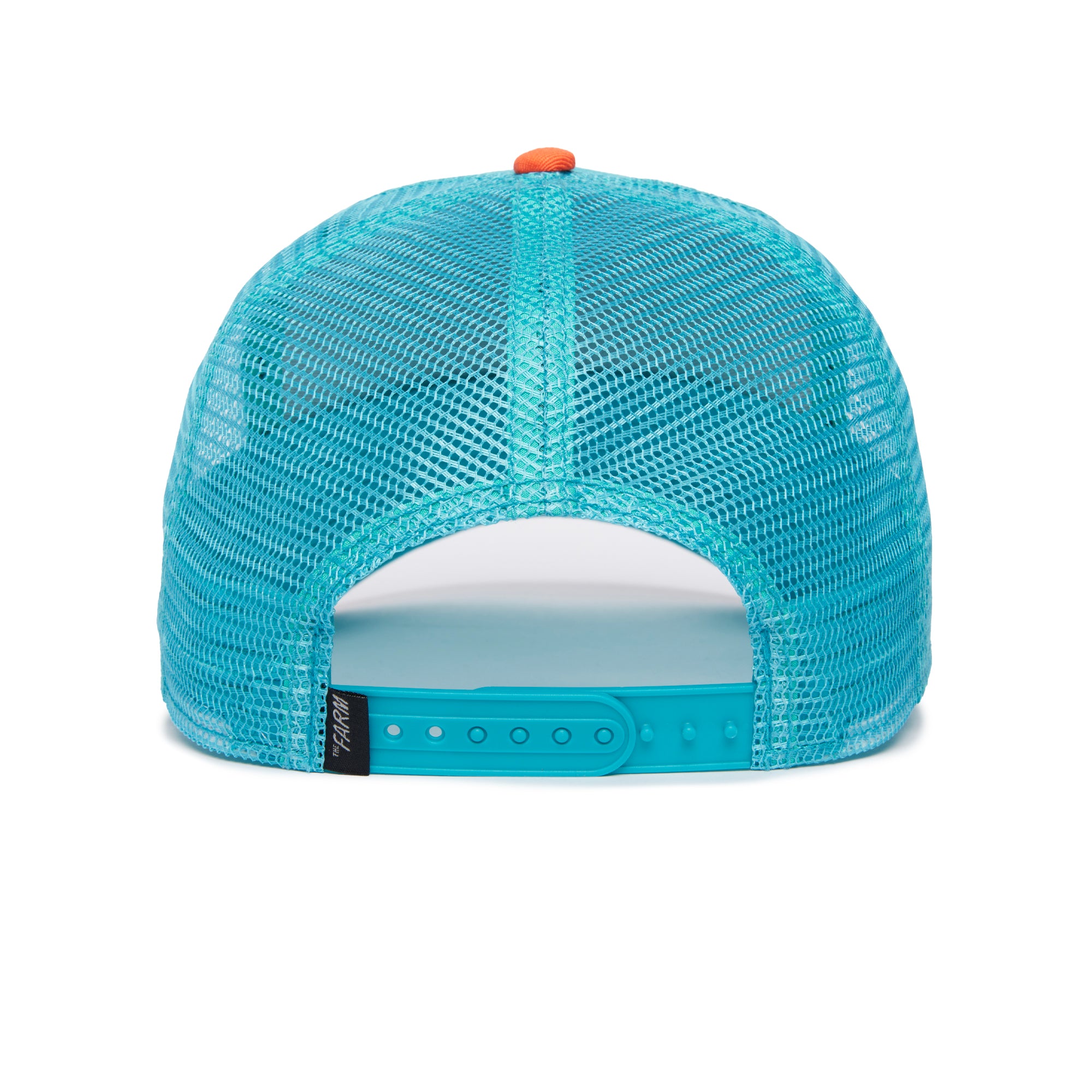 Dolphin Fan Turquoise