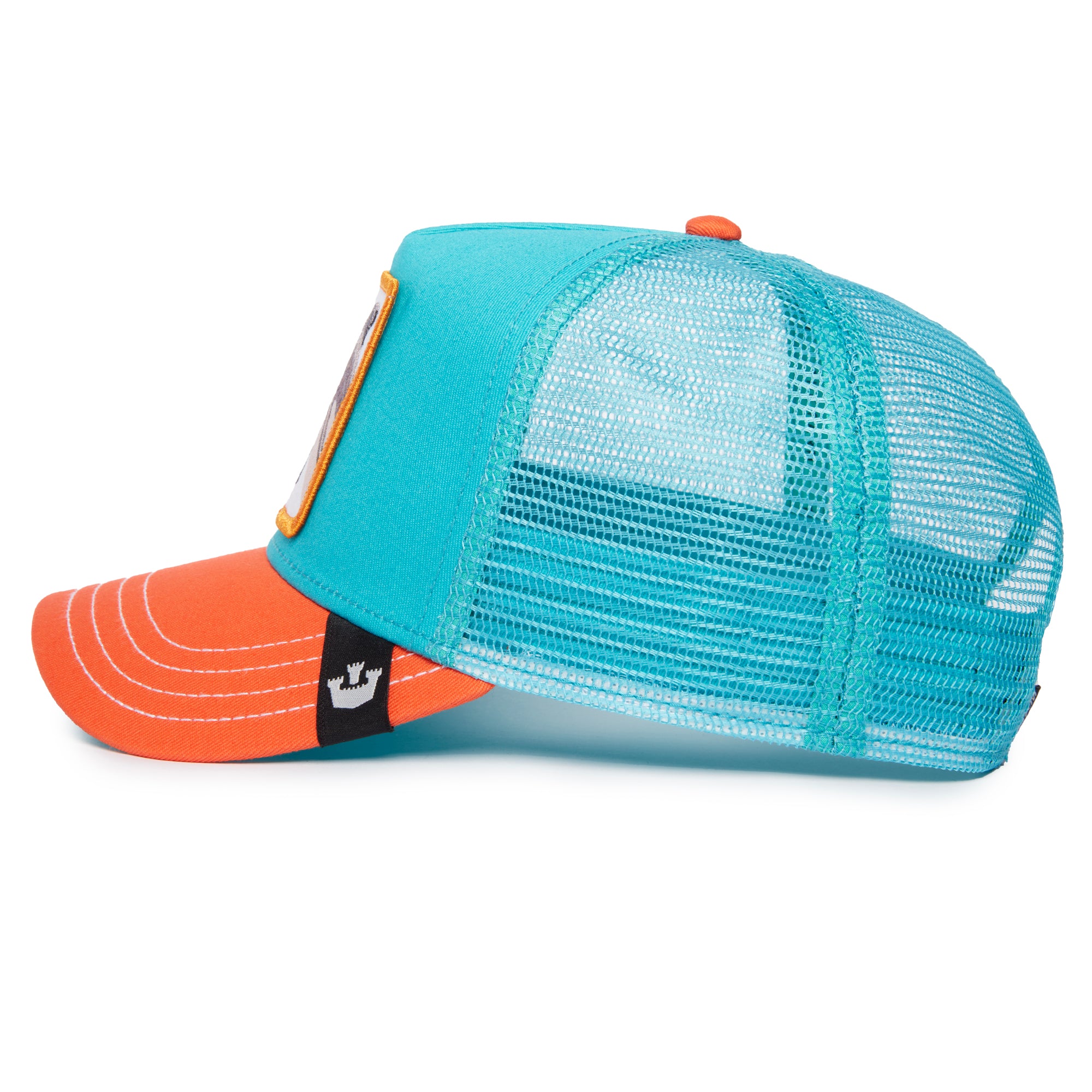 Dolphin Fan Turquoise
