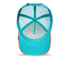 Dolphin Fan Turquoise