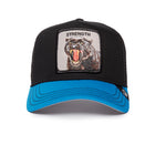 Panther Fan Black