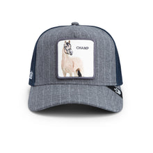 Suited Champ - Navy