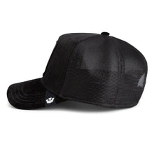 Iced Panther - Black