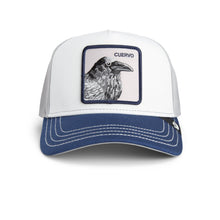 Tricolor Raven - Multi Color