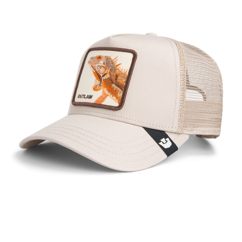 The Outlaw Lizard - Biscuit