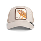 The Outlaw Lizard - Biscuit