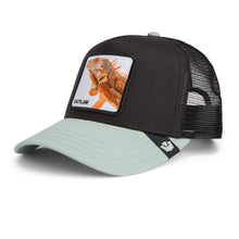 The Outlaw Lizard - Black / Shade