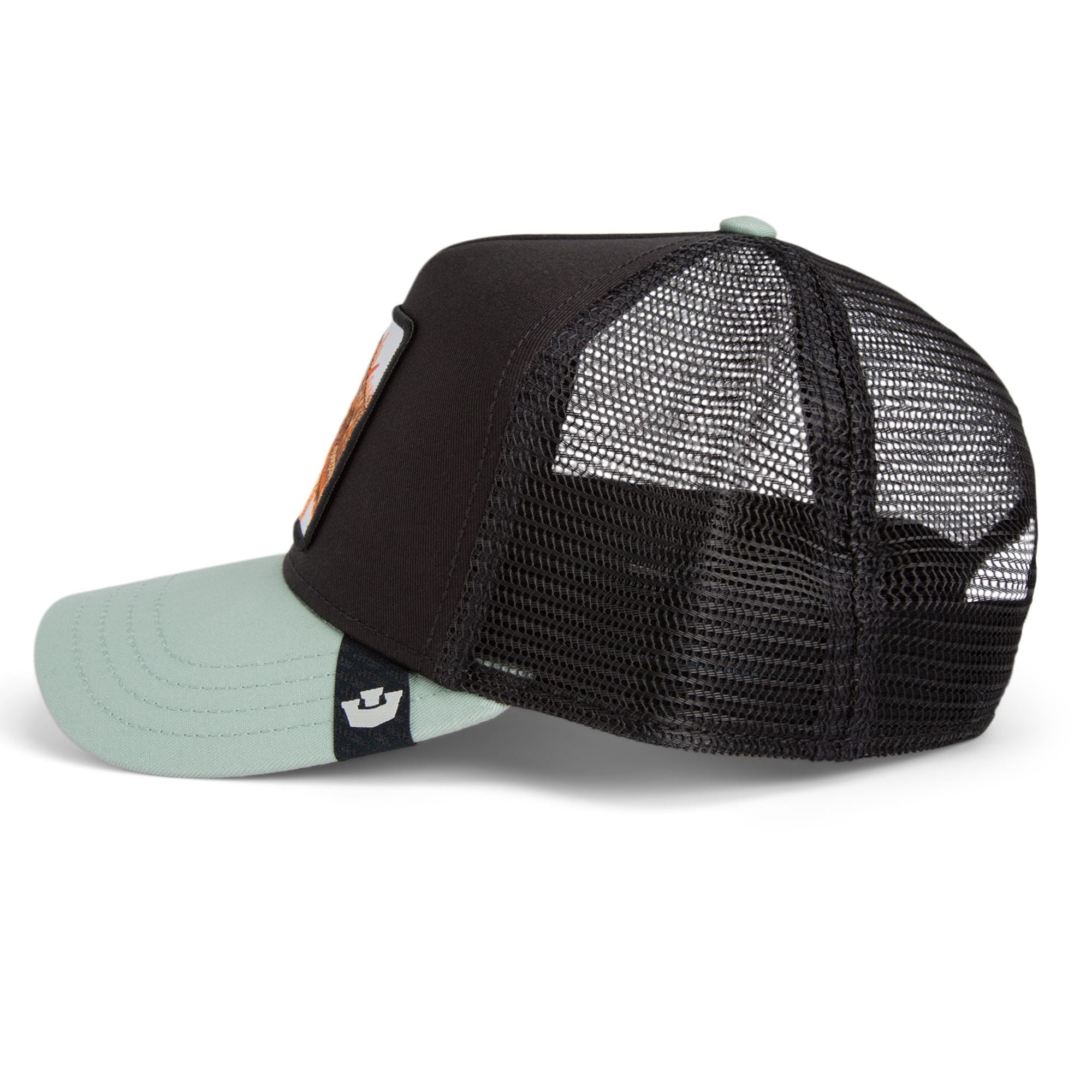 The Outlaw Lizard - Black / Shade