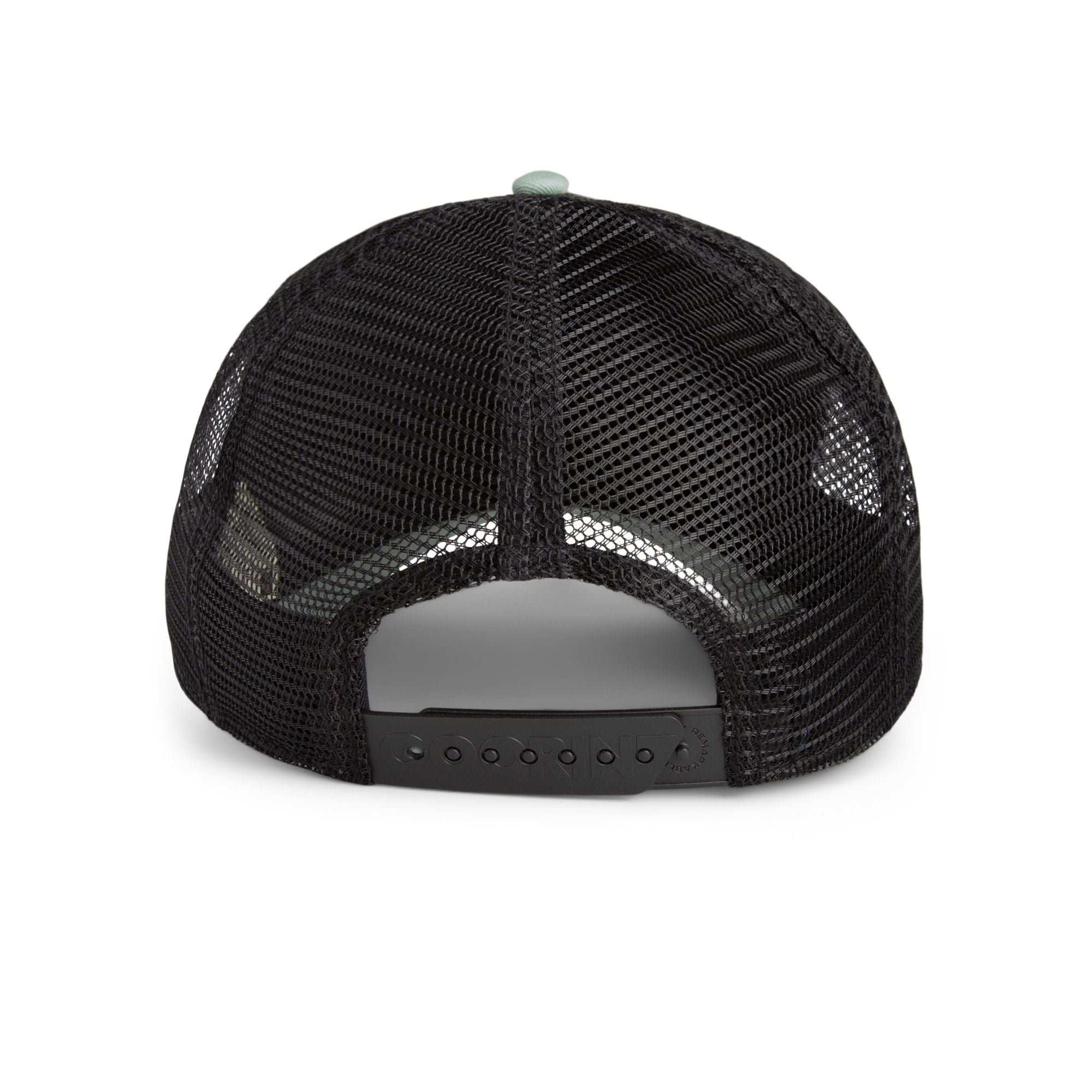 The Outlaw Lizard - Black / Shade