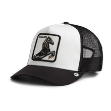 Stallion Trucker - Poussière / Vide