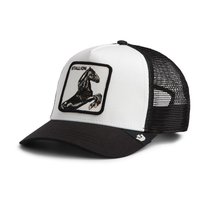 Stallion Trucker - Poussière / Vide