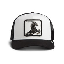 Stallion Trucker - Poussière / Vide
