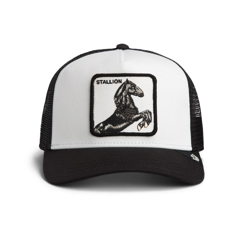 Stallion Trucker - Poussière / Vide