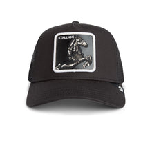 Stallion Trucker - Black