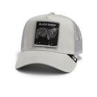 Black Sheep - Grey