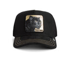Golden Panther - Black