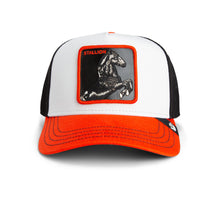 Tricolor Stallion - Multi Color