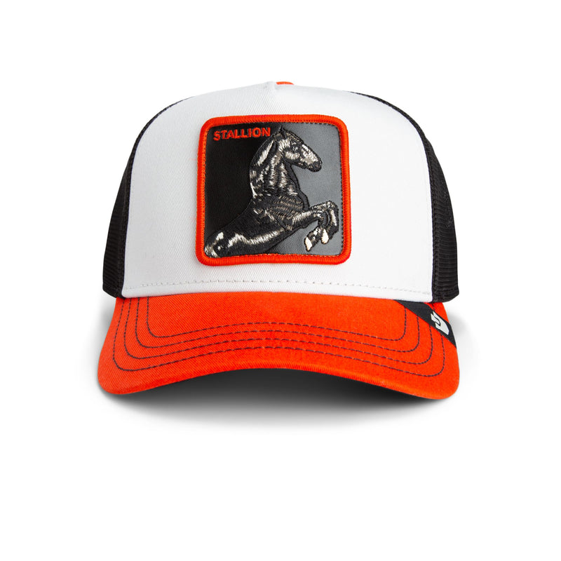 Tricolor Stallion - Multi Color
