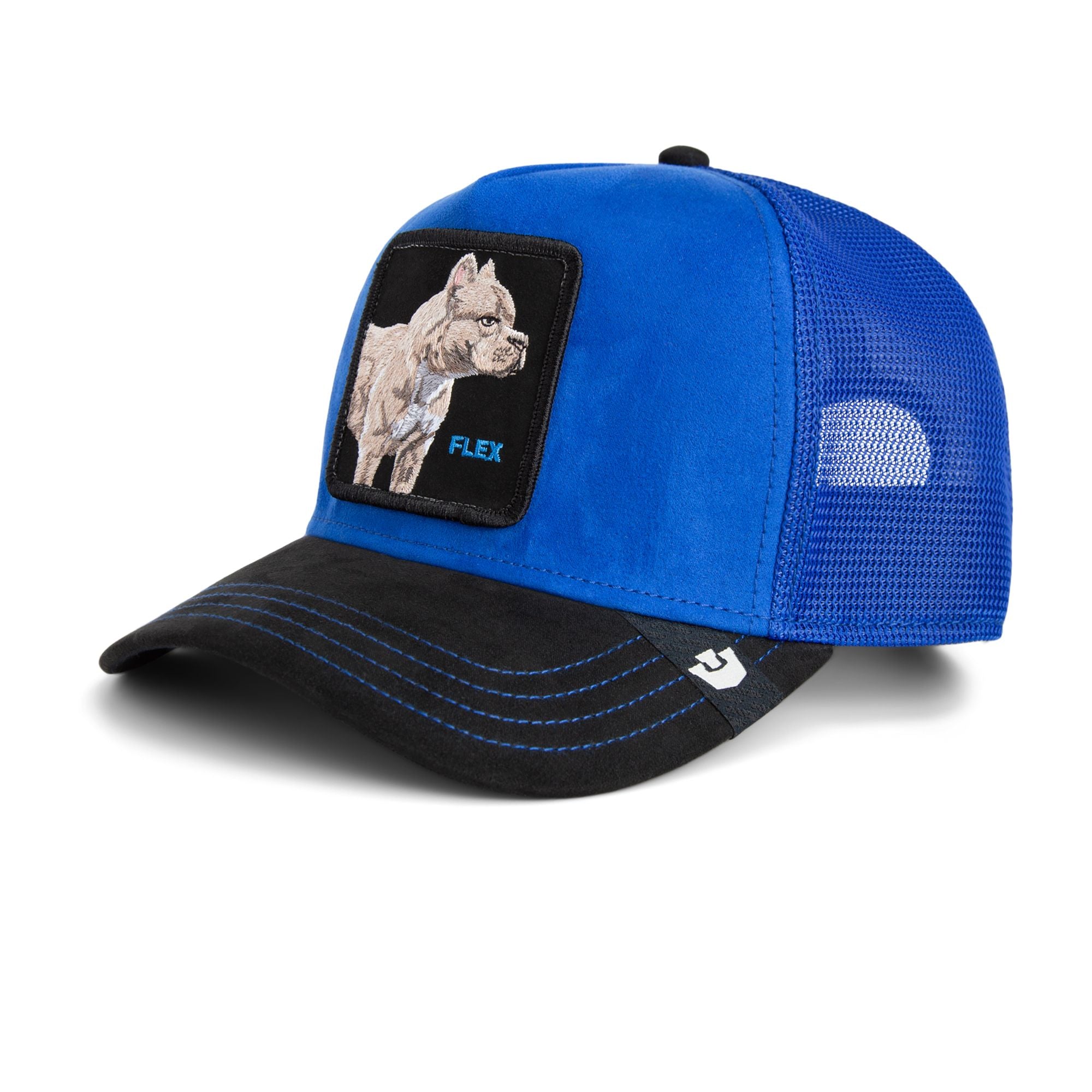Suede Pitbull - Royal / Black