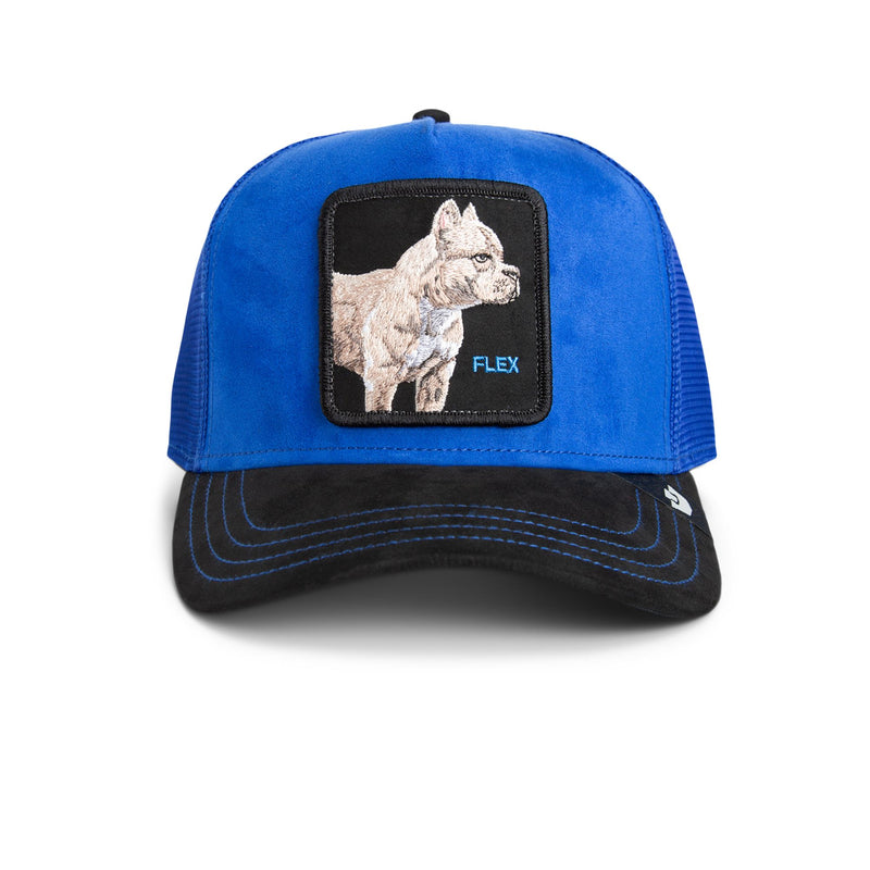 Suede Pitbull - Royal / Black