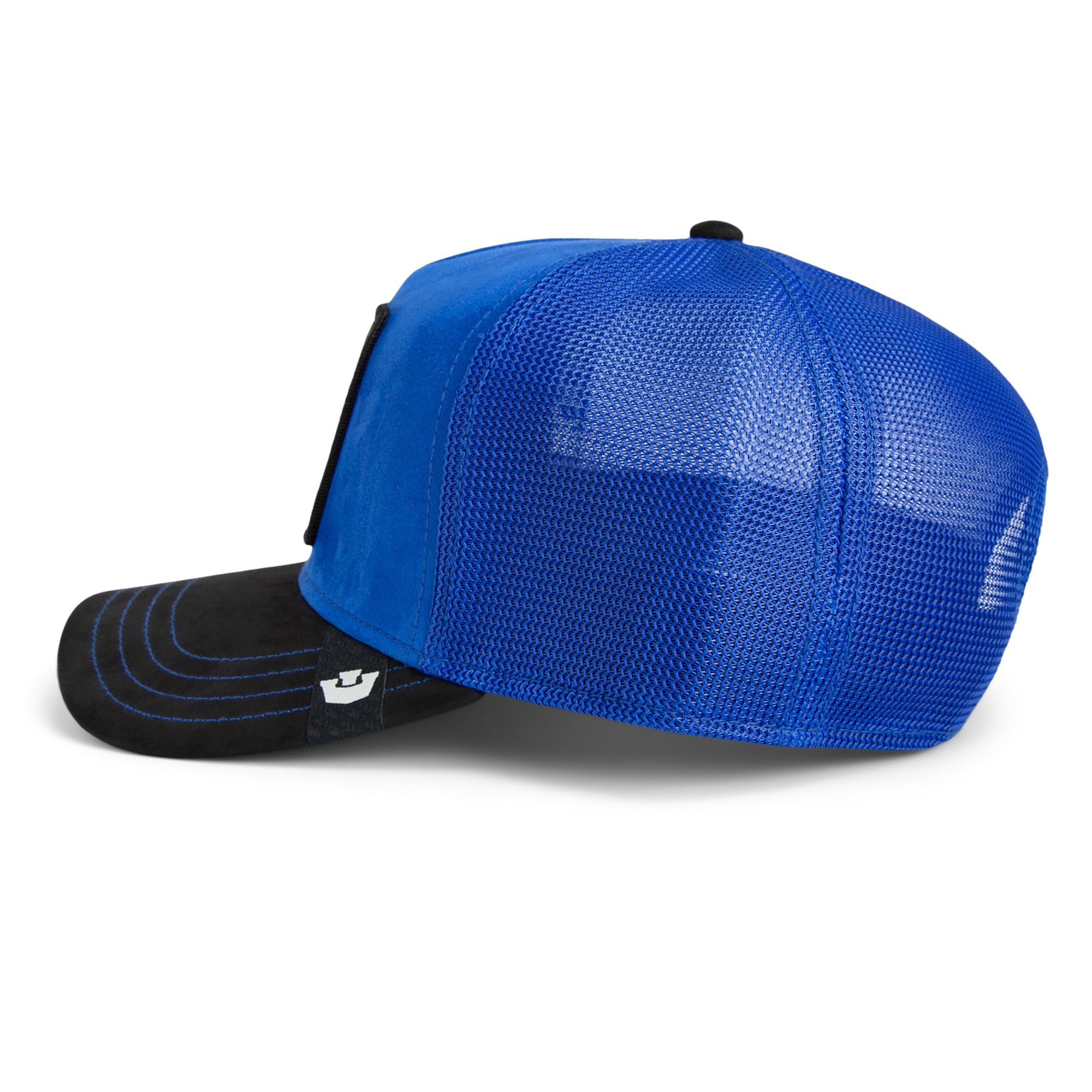 Suede Pitbull - Royal / Black