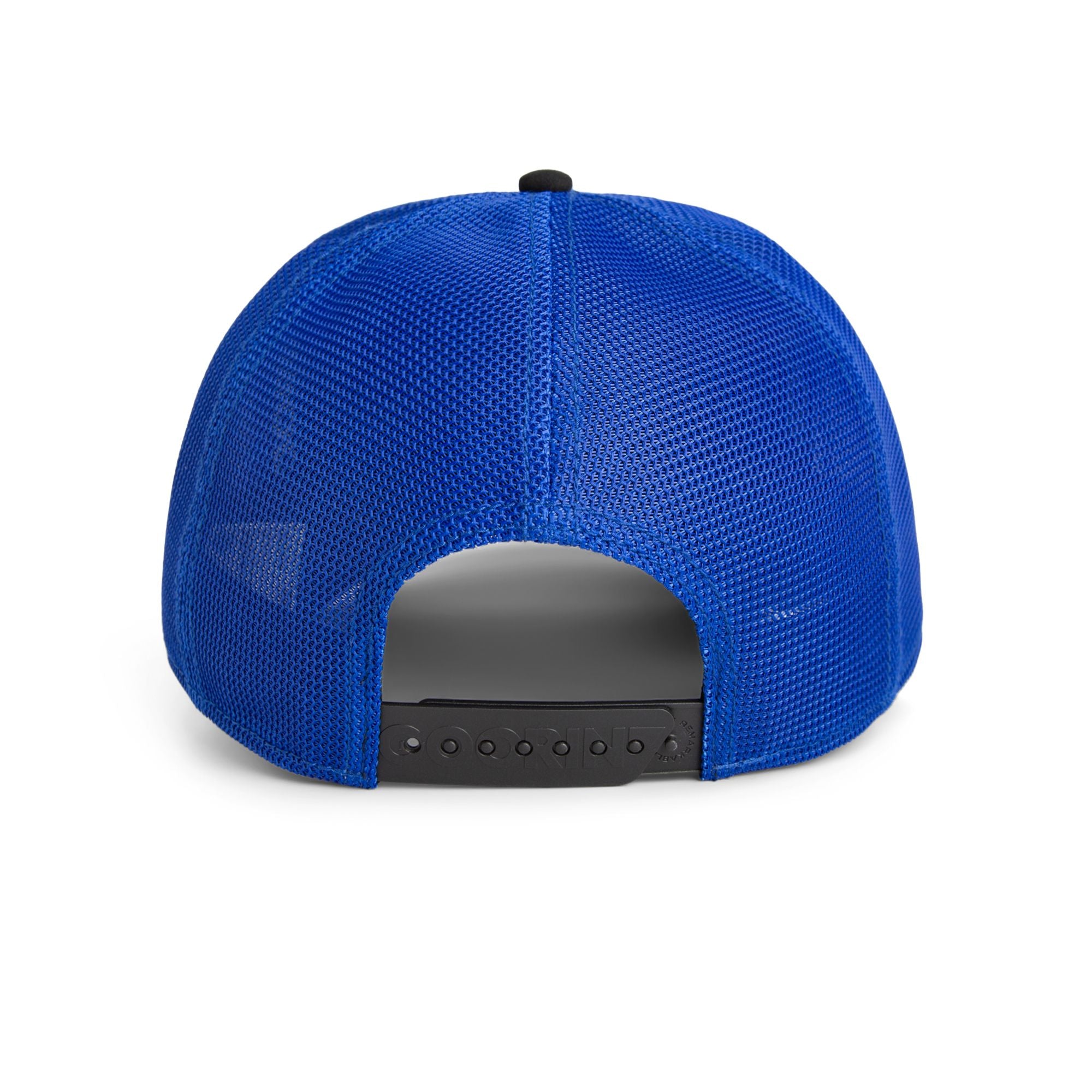 Suede Pitbull - Royal / Black