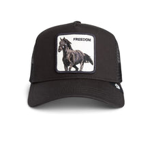 Freedom Horse - Black