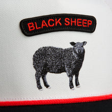 Pop Rocker Sheep - Platinum