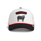 Pop Rocker Sheep - Platinum