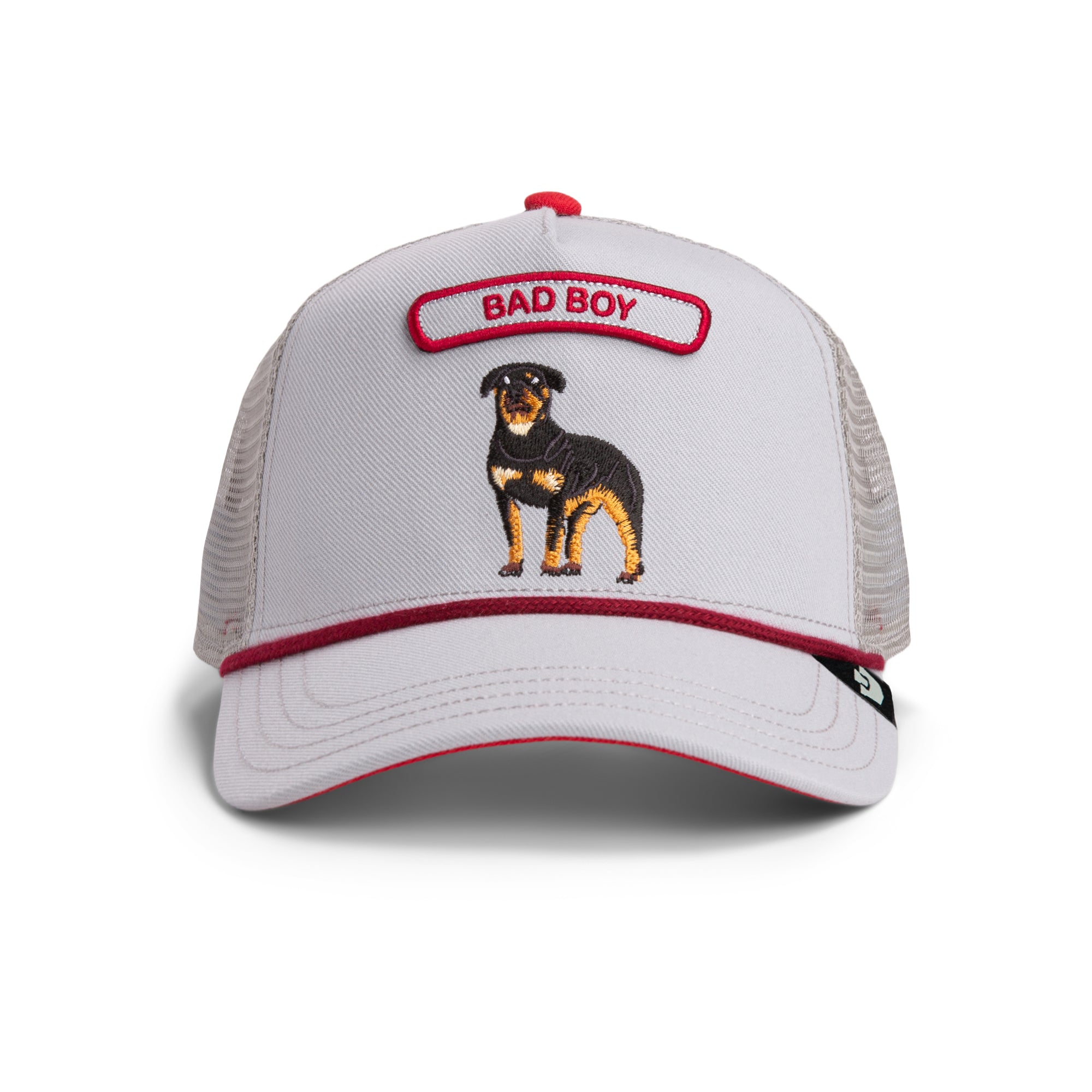 Pop Rocker Rottweiler - Grey