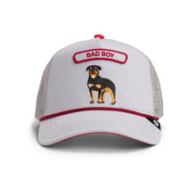 Pop Rocker Rottweiler - Grey