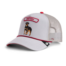 Pop Rocker Rottweiler - Grey